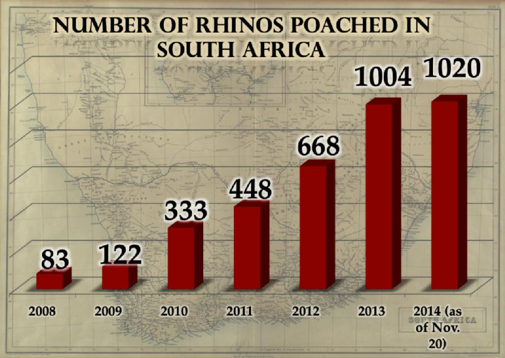 Anexo Rhino Stats.jpeg