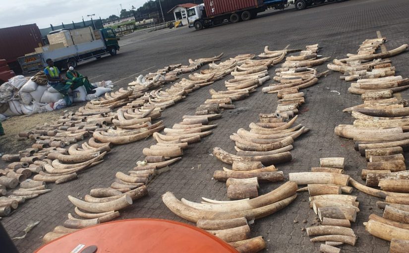Ivory seized in Mozambique